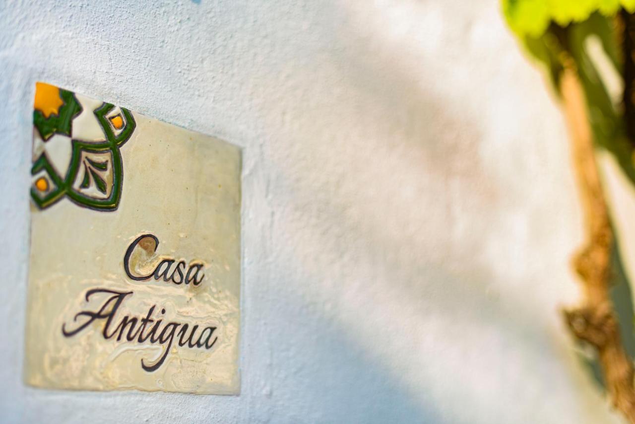 Cortijo Las Cabrerizas 法斯纳斯 外观 照片
