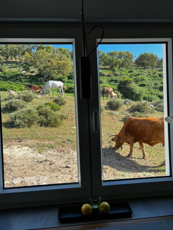 Cortijo Las Cabrerizas 法斯纳斯 外观 照片